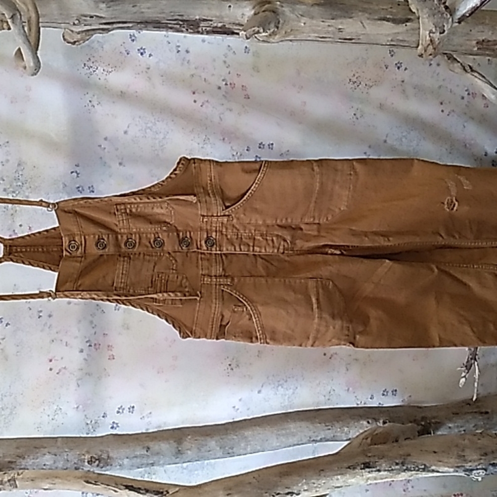 Anthropologie Pilcro and the Letter Press distressed utility style overalls. 26